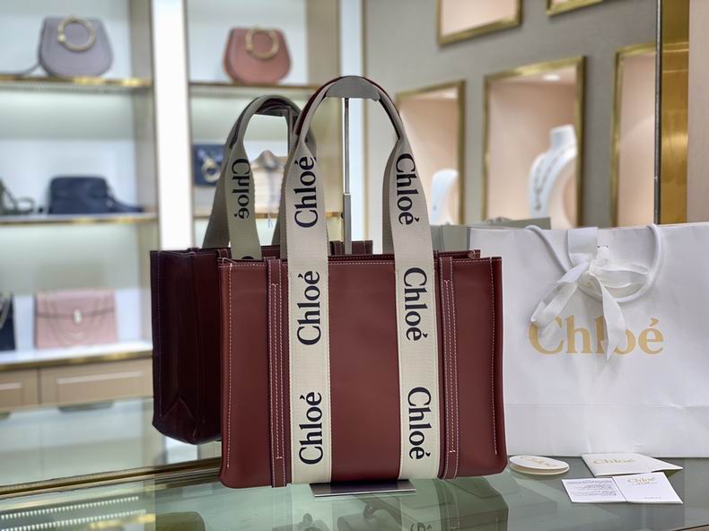 1 Chloe 37x26x12cm ss (1)