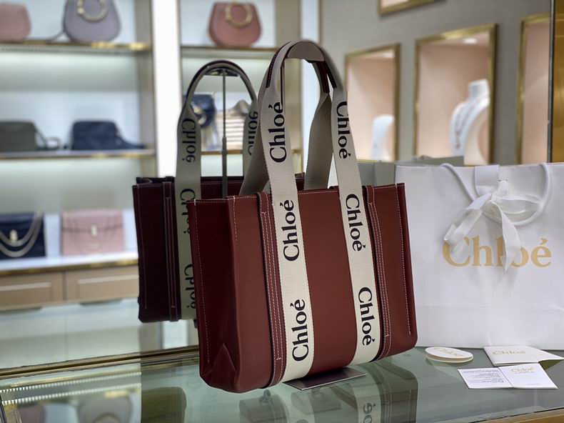 1 Chloe 37x26x12cm ss (7)