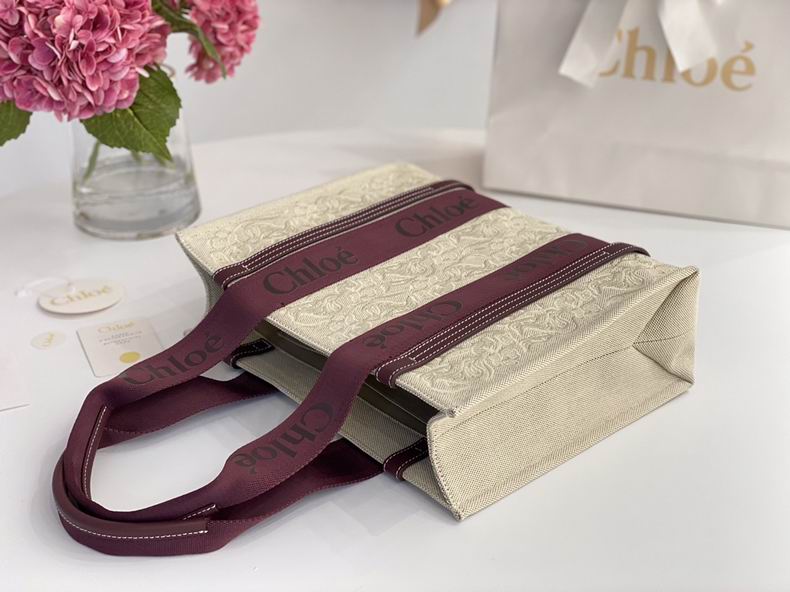 2 Chloe 37x26x12cm ss (6)