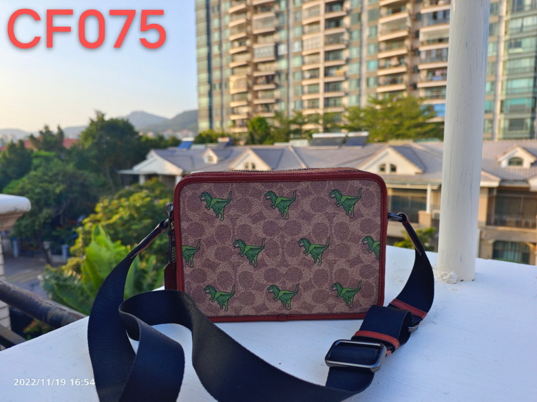 CF075 24X16X7cm JH (1)