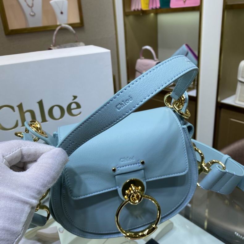 Chloe tess1153 20x18.5x7cm ss1 (6)