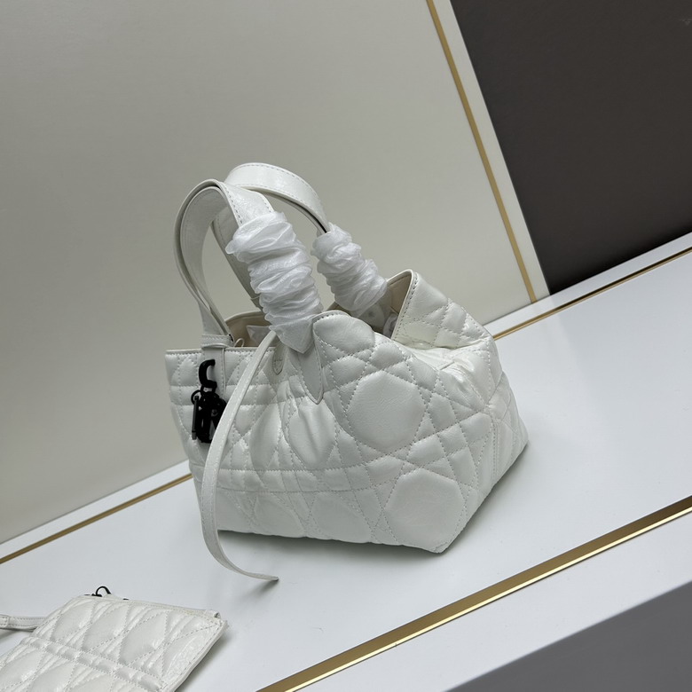 Dior 6876 23x15x15cm ww1_2