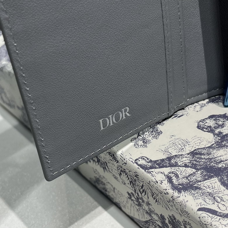 Dior C002 18 5x9 5cm CC_8