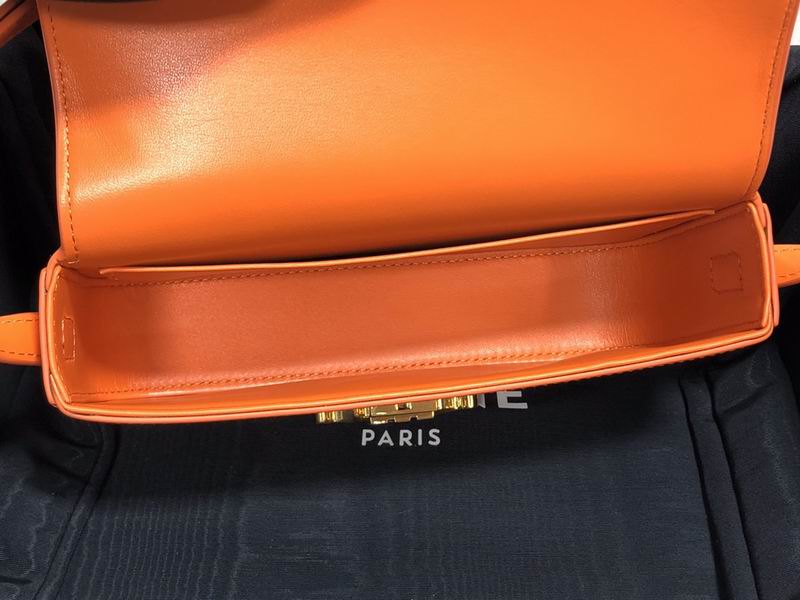 Triomphe Canvas 20.5x10.5x4cm ss 03 (13)_