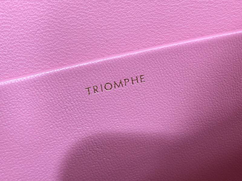 Triomphe Canvas 20.5x10.5x4cm ss 03 (8)_