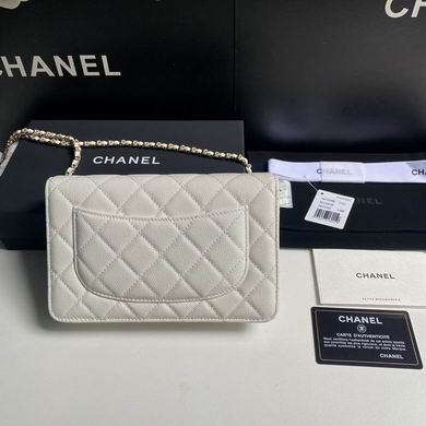 19.5cm 092708 YG 2色 (2)