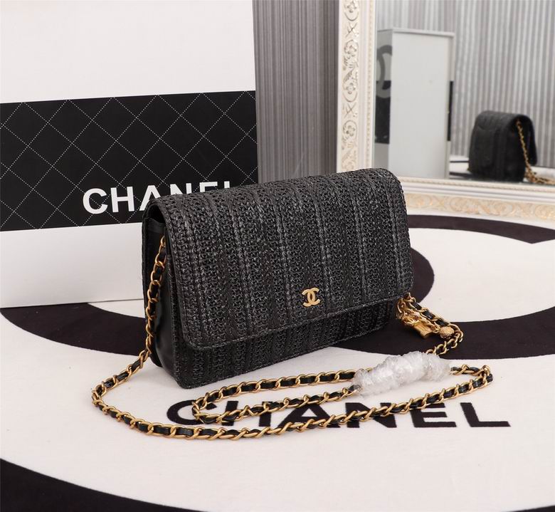 2009 19cm WO 2色 (3)