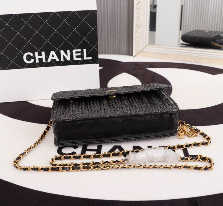 2009 19cm WO 2色 (4)