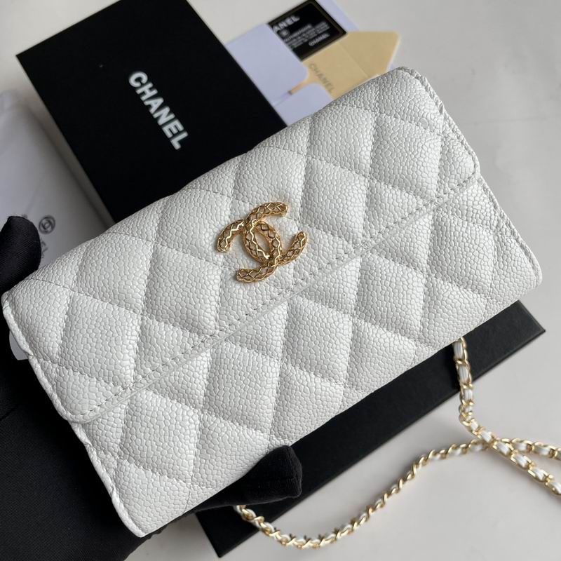 Chanel 8001 18x10.5x3.5cm zy (13)