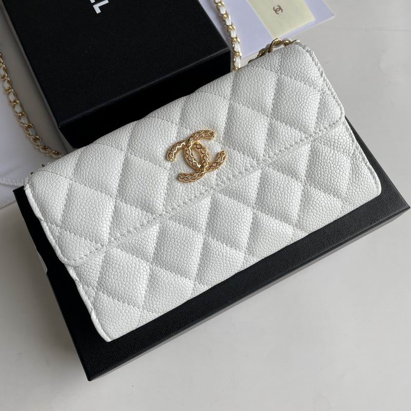 Chanel 8001 18x10.5x3.5cm zy (17)