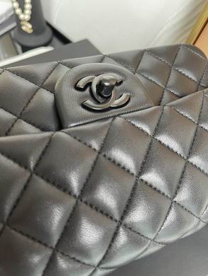 01116 20cm BL 14 (23)