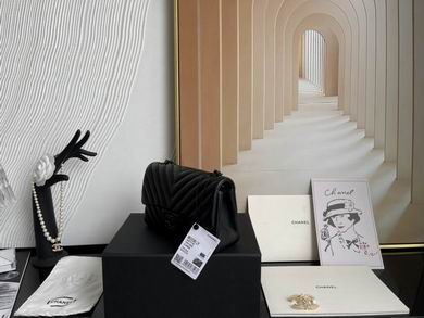 01116 20cm BL 14 (29)