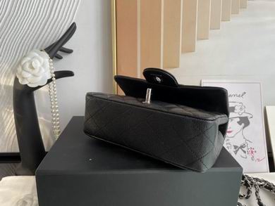 01116 20cm BL 14 (5)