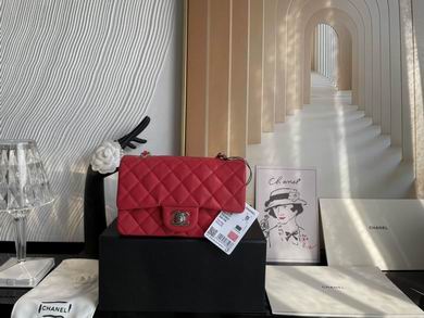 01116 20cm BL 7 (10)