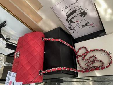 01116 20cm BL 7 (12)