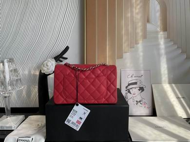 01116 20cm BL 7 (17)