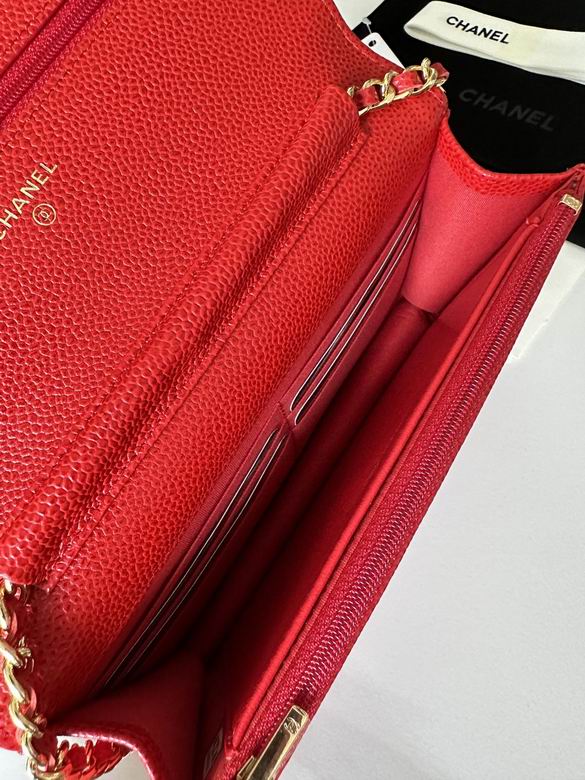 0250 19X12X3cm BL 1 (8)