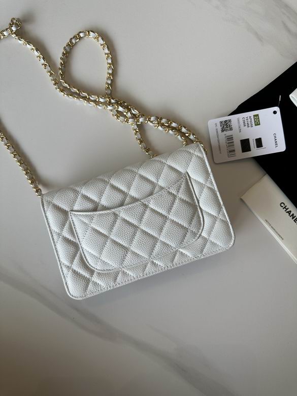 0250 19X12X3cm BL 2 (11)