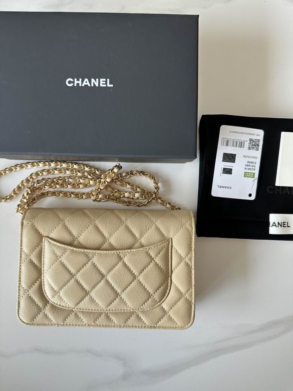 0250 19X12X3cm BL 2 (11)