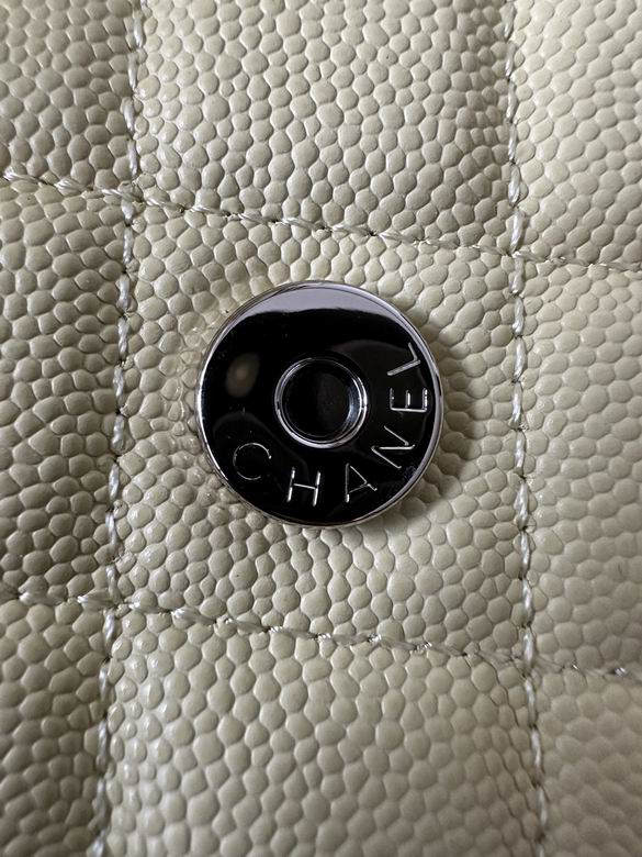 0250 19X12X3cm BL 2 (14)