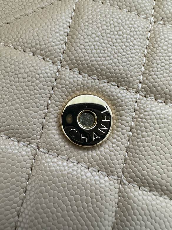 0250 19X12X3cm BL 2 (18)