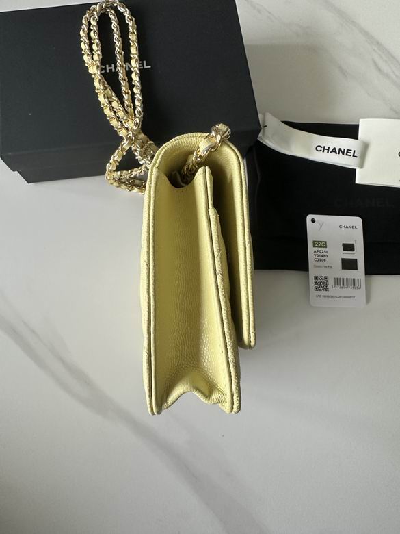 0250 19X12X3cm BL 2 (3)