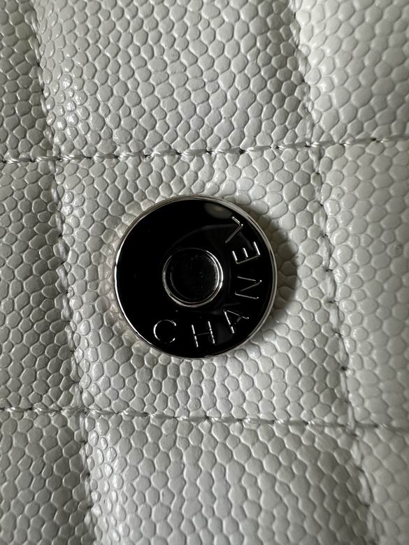 0250 19X12X3cm BL 4 (15)