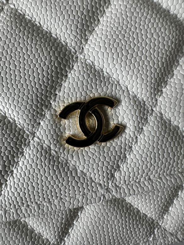 0250 19X12X3cm BL 4 (3)