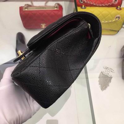 1112鱼子酱皮 (6)