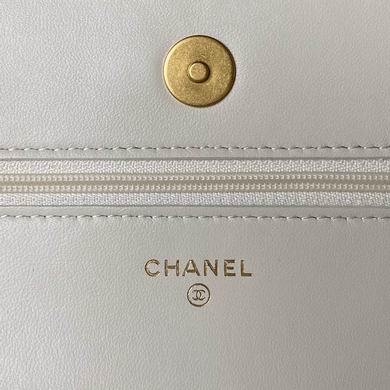 19cm 070204 BL 2colour (6)