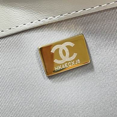 3660 24X41X10cm BL 9 (9)