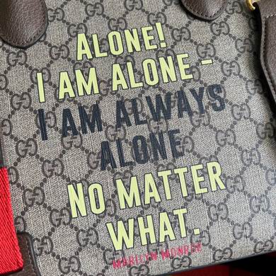 703264 36X38.5X12cm MP 2色 (16)