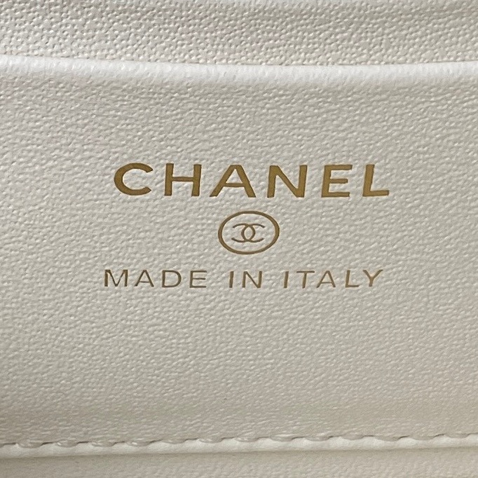 AP3301 17X9.5X8cm BL-1 (9)