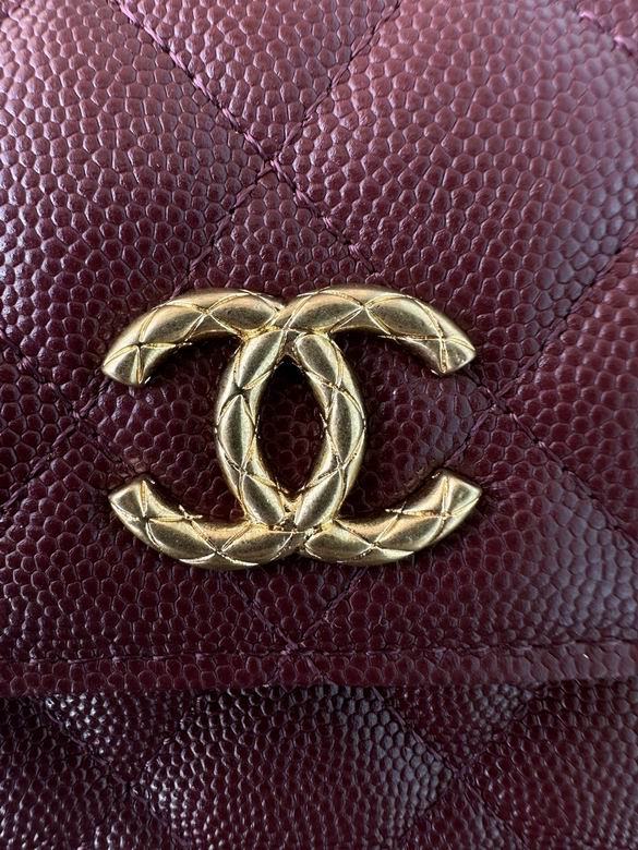 AP3473 17cm BL 3colour (20)