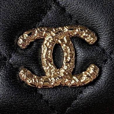 AP3575 17cm BL 2colour (12)