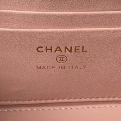 AP3663 17cm BL 4colour (17)