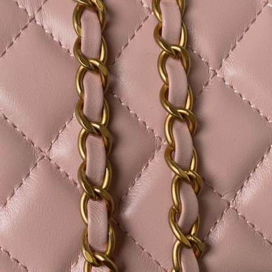 AP3663 17cm BL 4colour (18)