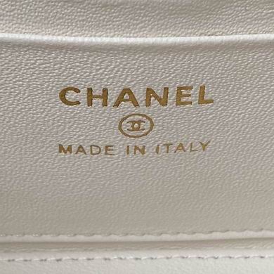 AP3663 17cm BL 4colour (27)