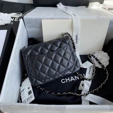 AS3442 17cm BL 7 (2)