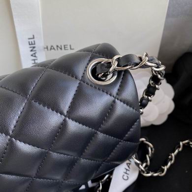 AS3442 17cm BL 7 (4)