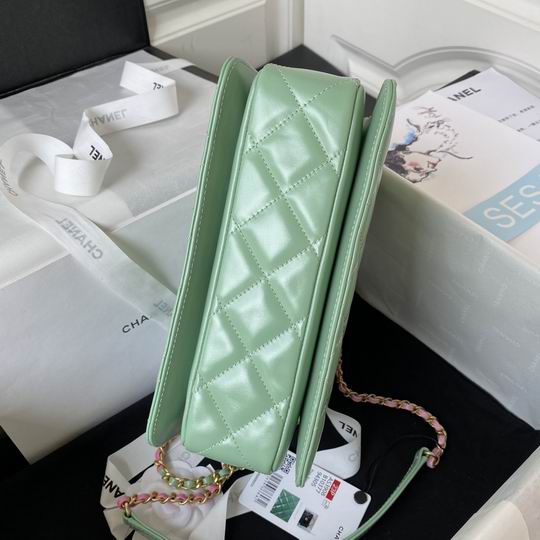 AS3908 22X16X9cm BL-1 (15)