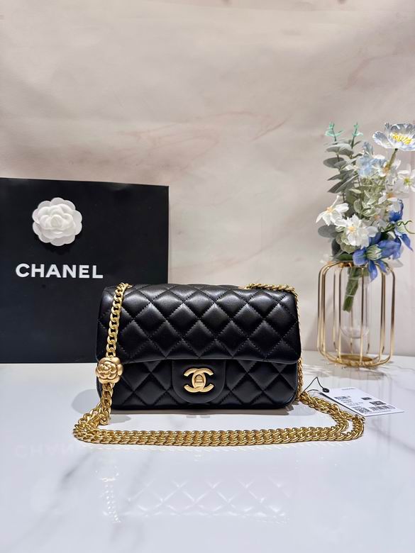 AS4041 12X20X6.5cm WO (1)