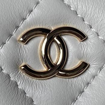 Ap2199 17cm BL 3colour (12)