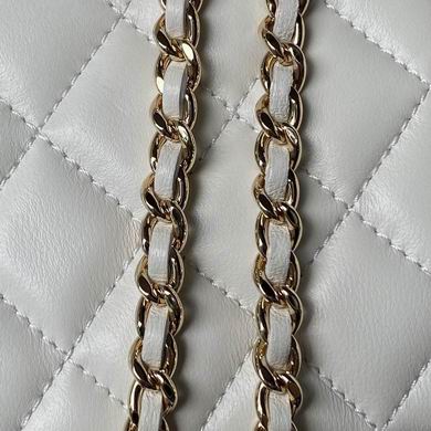 Ap2199 17cm BL 3colour (15)