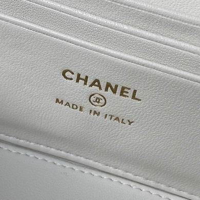 Ap2199 17cm BL 3colour (17)