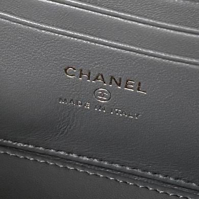 Ap2199 17cm BL 3colour (27)