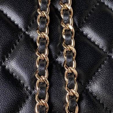 Ap2199 17cm BL 3colour (7)