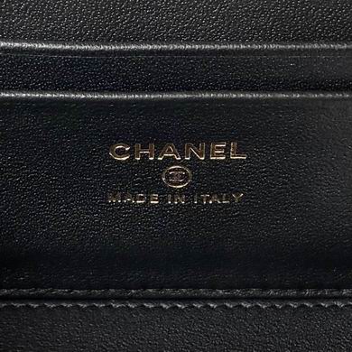 Ap2199 17cm BL 3colour (9)