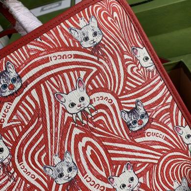 BA630542 28X25X11 (10)