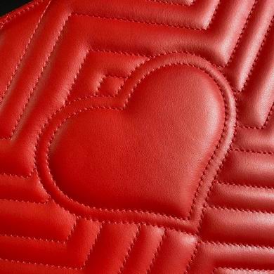 BG476440 30x20x1 (14)